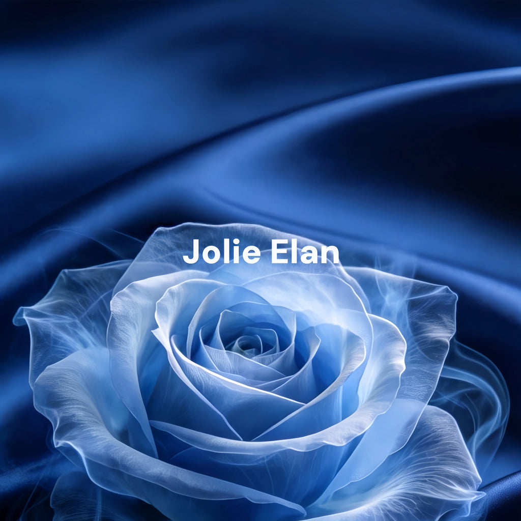 JolieElan · Blueberry Muse · French Sexy Blue Flower Embroidery Mesh Perspective Shapewear Set