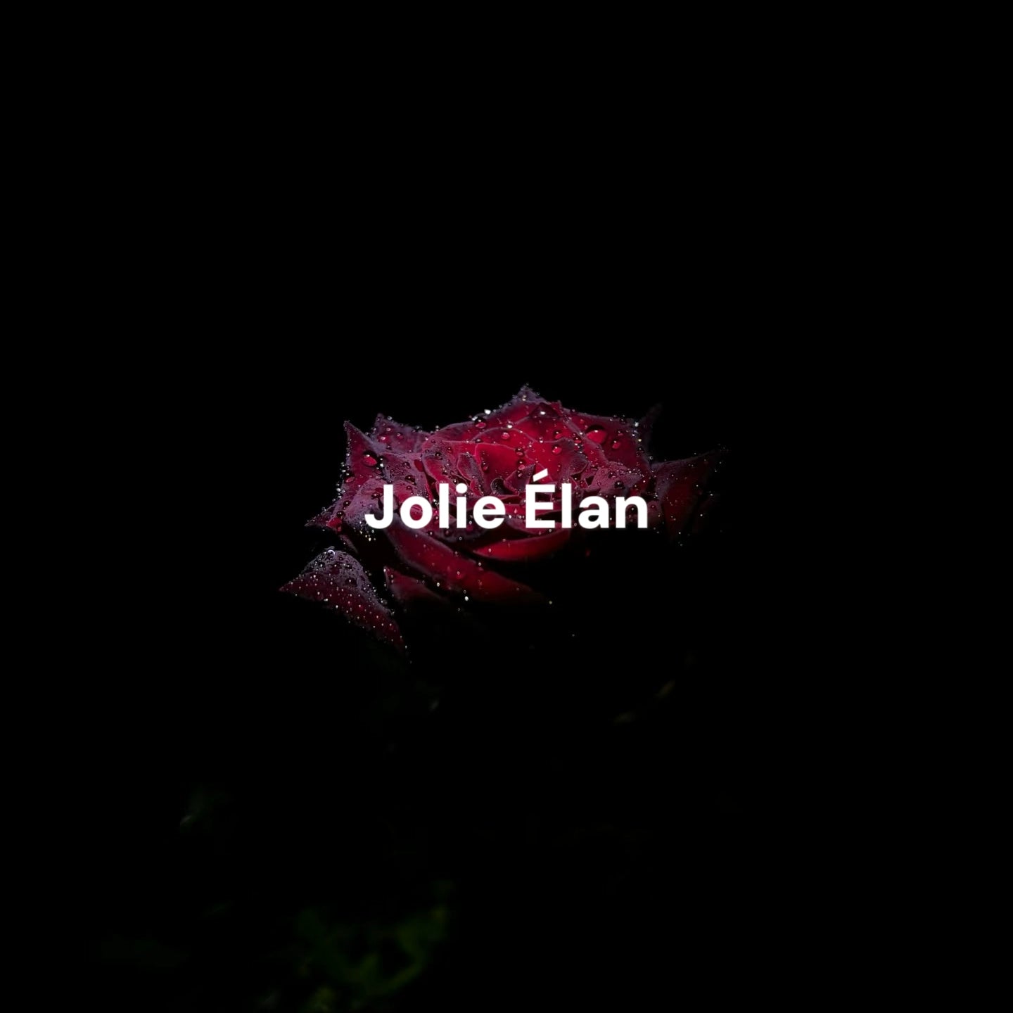 JolieElan · Dark Night Rose · French Lace Mesh Embroidery Sexy Perspective Gathering Underwear Set