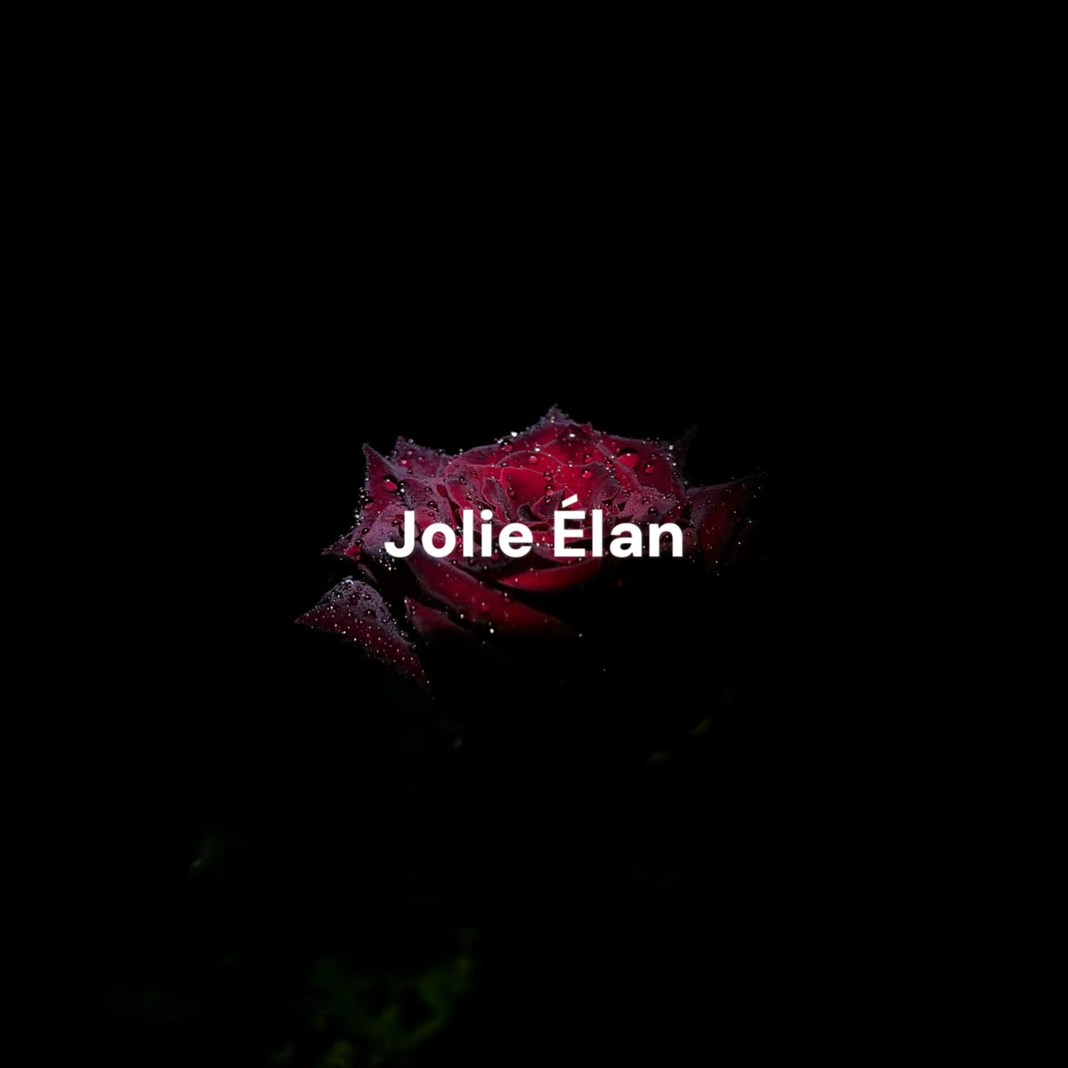 JolieElan · Dark Night Rose · French Lace Mesh Embroidery Sexy Perspective Gathering Underwear Set