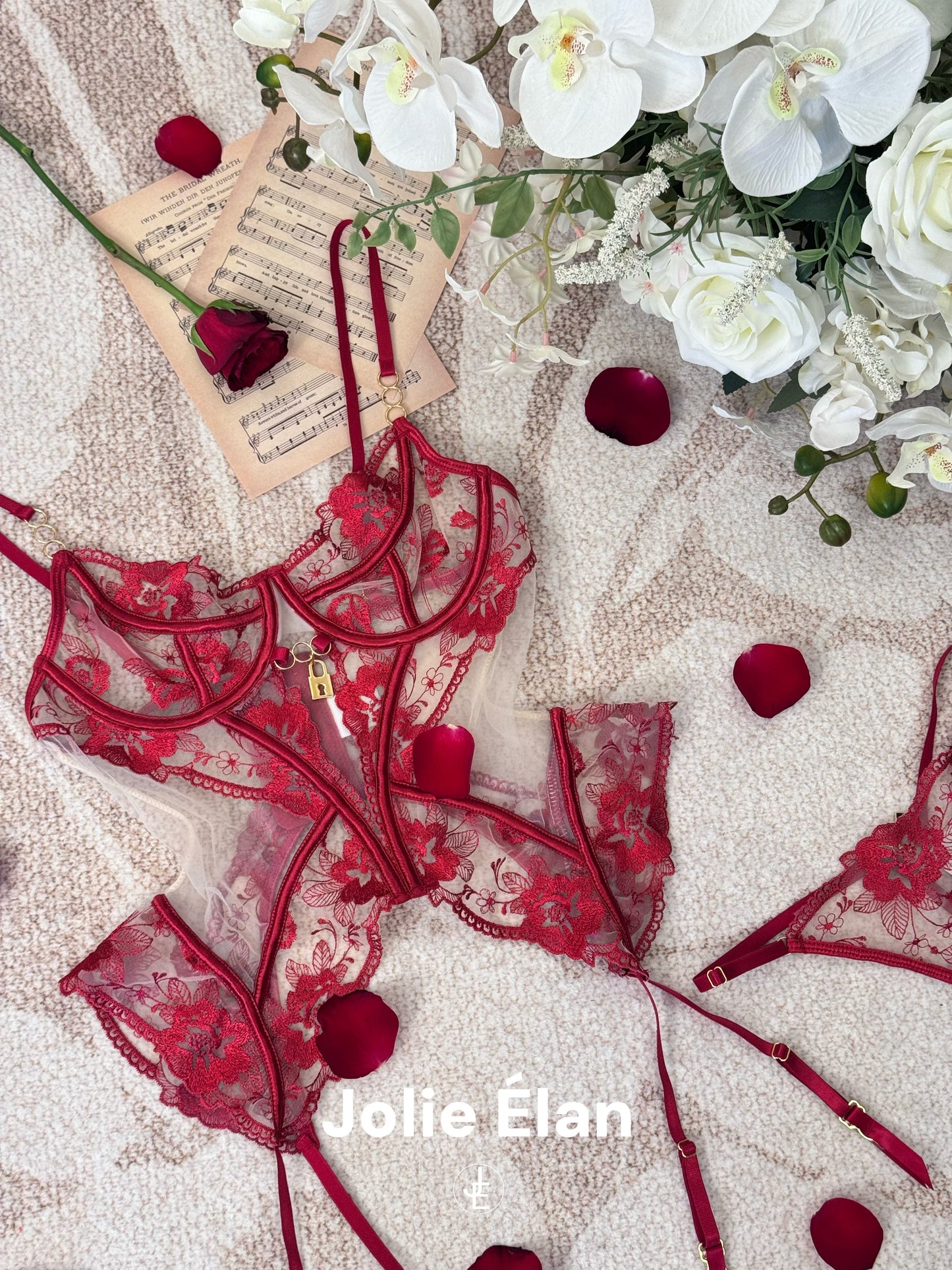 JolieElan · Rich Idle · Sexy Fishbone Mesh Embroidery Lace Perspective French Underwear Set