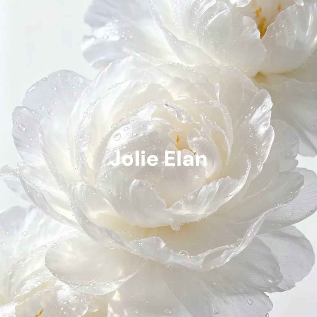 JolieElan · Romance on the Run · French Sexy Lace Heavy Industry Embroidery Perspective Premium Perspective Underwear Cover