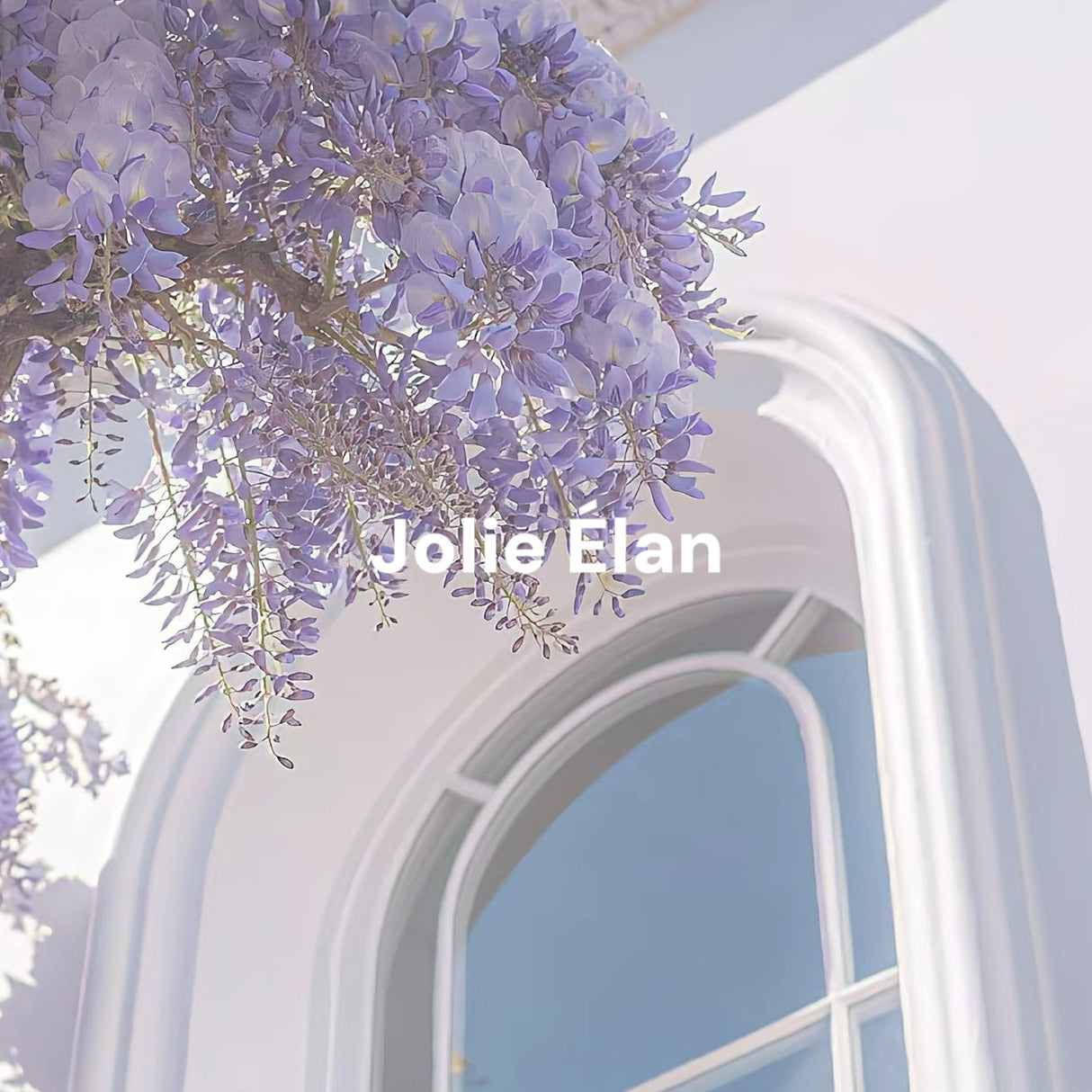 JolieElan · Gentle trap · French lace embroidered strap perspective sexy qqny underwear set
