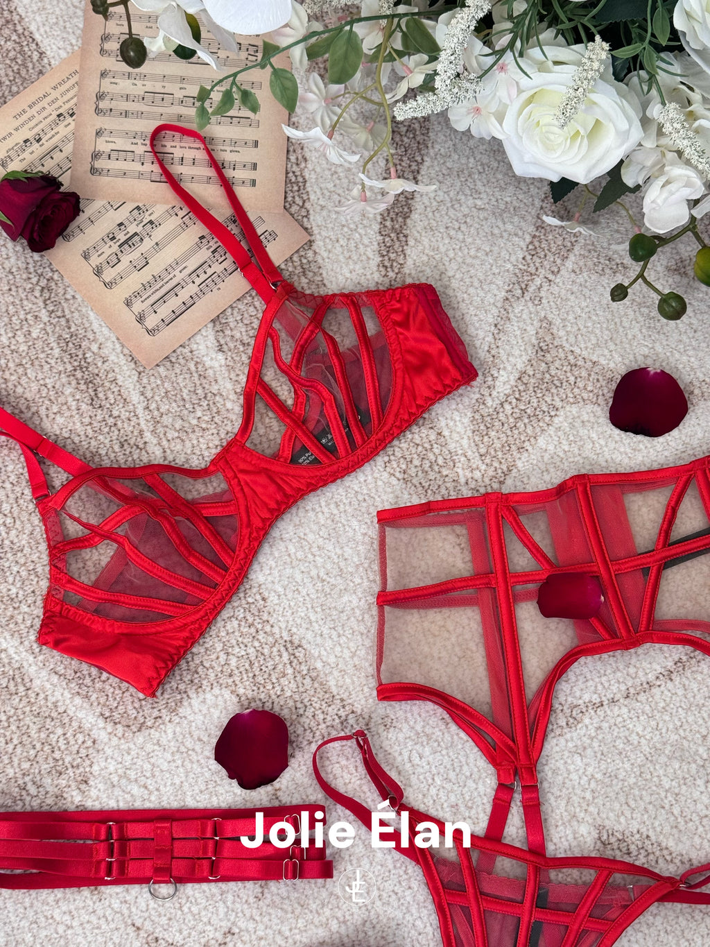 JolieElan · Cold City · Sexy Fishbone Mesh Perspective Premium French Underwear Set