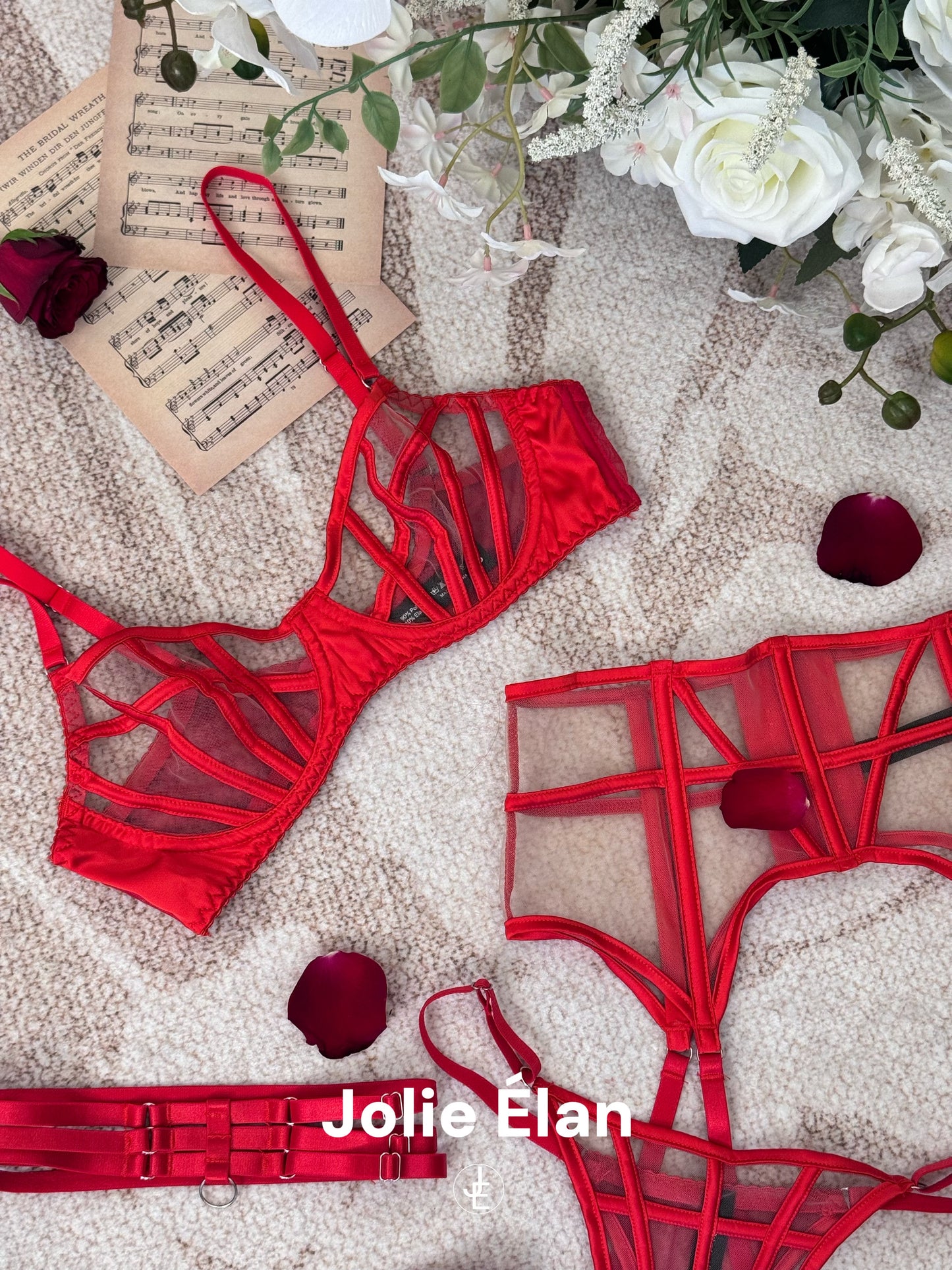 JolieElan · Cold City · Sexy Fishbone Mesh Perspective Premium French Underwear Set