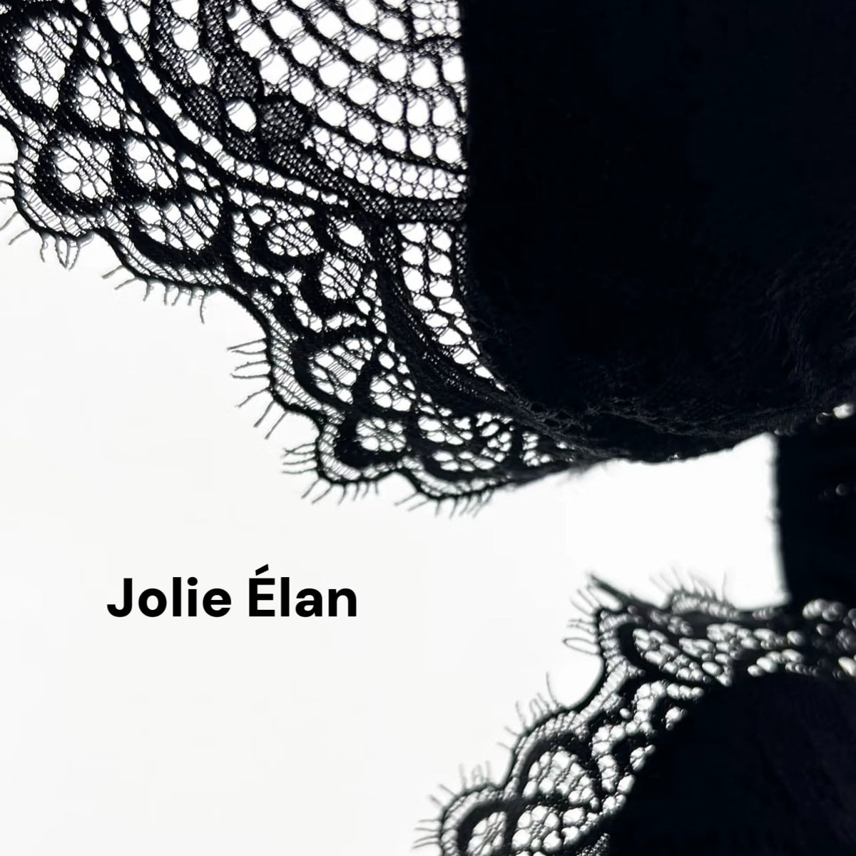 JolieElan · Black Swan · French Lace Mesh Perspective Ballet Girdle Fishbone Sexy Underwear Set