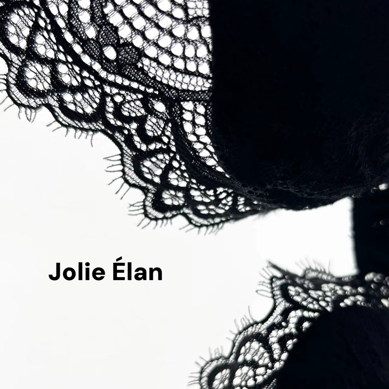 JolieElan · Black Swan · French Lace Mesh Perspective Ballet Girdle Fishbone Sexy Underwear Set